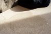 Terrazzo Granitech Pigment Fine - Image 6